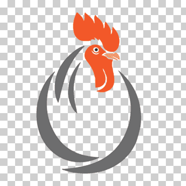 pollo pollos de engorde gallina avicultura, pollo, comida, animales, logo png