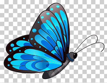 Mariposa, mariposa azul, azul y negro mariposa ilustración, azul, mariposa patas de pincel, color png