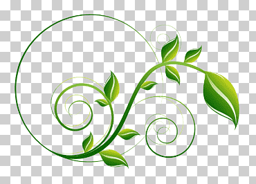 Ilustración de hoja de vid, hoja, patrón de hoja verde., hoja, texto, atmósfera png