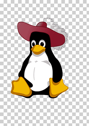 أنظمة التشغيل برامج الكمبيوتر Linux الكمبيوتر الشخصي ، Forma, الكمبيوتر, برنامج الكمبيوتر, الفقاريات png