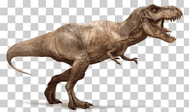 Ilustración del tiranosaurio rex, ejecutando t-rex, animales, dinosaurios, tiranosaurio png
