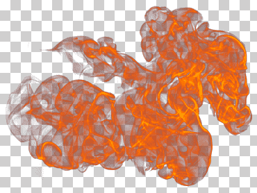 organismo, diverso, naranja, fuego png