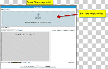 Computer Software Computer program Web page, send email button, text, computer, computer Program png