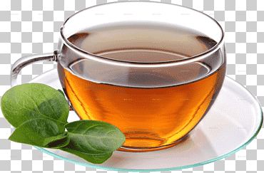 té café café té blanco té verde té s, té, taza para té, té de hierbas png