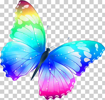 Mariposa, gran mariposa multicolor, azul, púrpura y amarillo mariposa ilustración, mariposa patas de pincel, naranja, simetría png