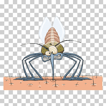repelente de mosquitos, mosquitos, fotografía, insectos, control de plagas png