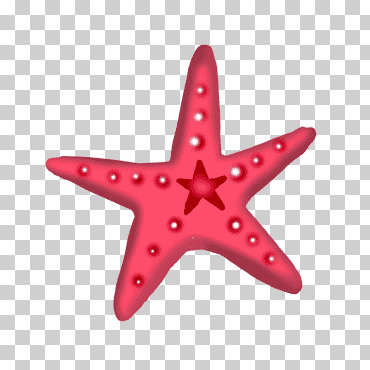 playa de los fondos marinos de las estrellas de mar, estrella de mar, animales, dibujos animados de estrellas de mar, dibujos animados png