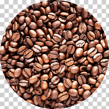 café en grano café café robusta café arábica, café, café, grano de cacao, superalimento png