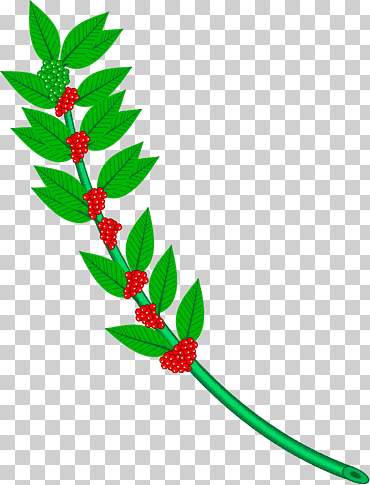 heráldica wikimedia commons, rama de café, hoja, rama, comunes de wikimedia png