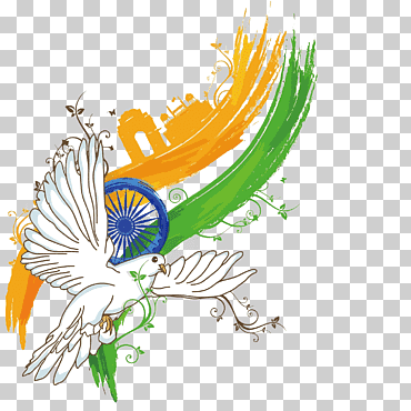 día de la independencia india cartel ilustración, paloma india día de la independencia, volando paloma ilustración, cultura, aceituna, rama png