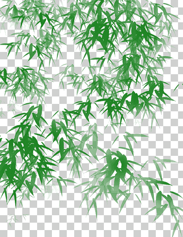 Ilustración de plantas verdes, icono de hoja de brote de bambú, bambú, hojas de bambú, hierba, tallo de la planta png