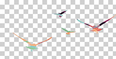 águila halcón, color águila voladora, ángulo, salpicadura de color, animales png