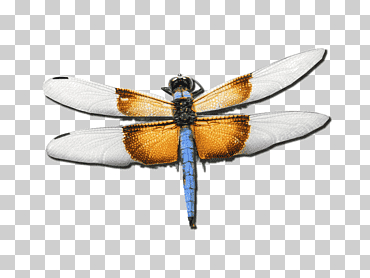 تغليف بوستسكريبت مغلف ، تشهير, أخرى, بوستسكريبت مغلف, حيوان png