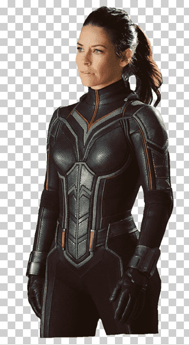evangeline lilly ant-man y la avispa esperanza pym hank pym, ant man, historietas, superhéroe, equipo png