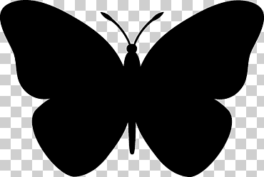 silueta de mariposa, -butterfly, hoja, mariposa patas de pincel, monocromo png