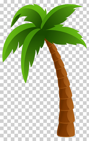 Arecaceae, decoración de árboles de coco., diverso, hoja, hierba png
