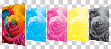 Impresión en color impresión en color modelo de color cmyk, impresión en offset, color, flor, material png