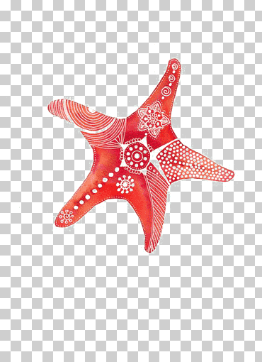 Dibujo Acuarela, Compras, Estrella De Mar., animales, fotografía, dibujos animados de estrellas de mar png