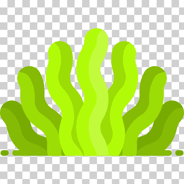 algas computadora iconos algas, mar, hierba, Oceano, alga png
