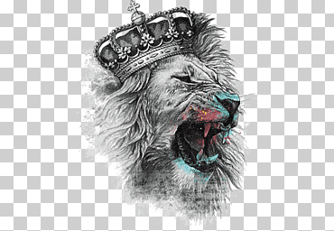 cabeza de leones, león pintado, bosquejo, León macho png