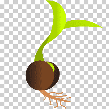 germinación de semillas germinadas, plántulas, diverso, comida, hoja png