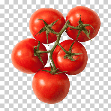 ciruela tomate arbusto tomate alimentos orgánicos vegetales roma tomate, vegetales, alimentos naturales, comida, tomate png