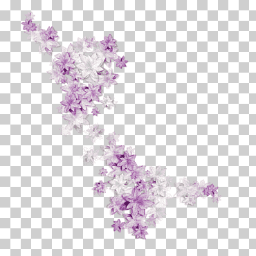 Flores moradas y blancas, ramo de flores violeta, violeta., púrpura, hoja, rama png
