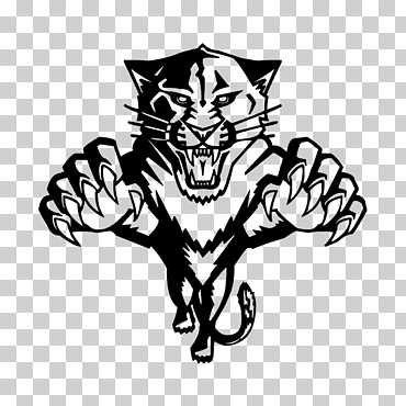 pantera negra florida panteras, pantera negra, mamífero, personajes de ficción, gato como mamífero png
