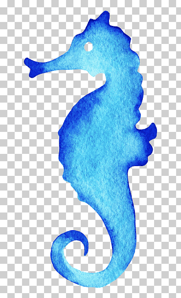 Caballito de mar azul, dibujo de acuarela de caballito de mar, estrella de mar, mamífero marino, animales, vertebrado png