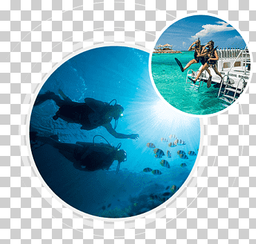 buceo buceo submarino conjunto de buceo sitios de buceo recreativo isla wajag, deportes acuáticos reactivos co, mamífero marino, Biología Marina, submarinismo png
