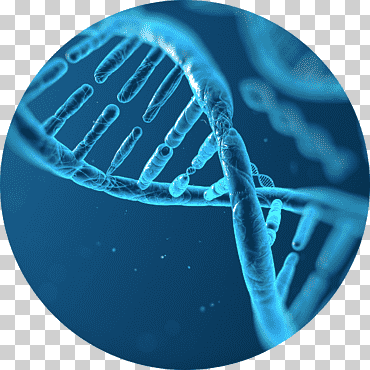 Perfiles de ADN Biología Molecular Genética, Ansiedad De Prueba, biología, dna, azul eléctrico png