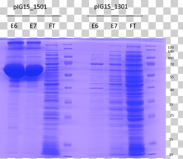 Screenshot 岩手県旅館ホテル生活衛生同業組合盛岡支部 Computer program, Clostridium Tetani, purple, blue, text png
