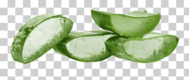 planta de aloe vera herida organismo verde, aloe verde, vegetales de hoja, comida, cara png