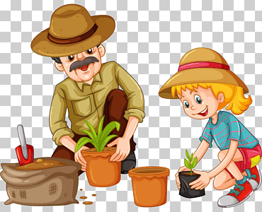 plantación de árboles, niño, comida, otros png