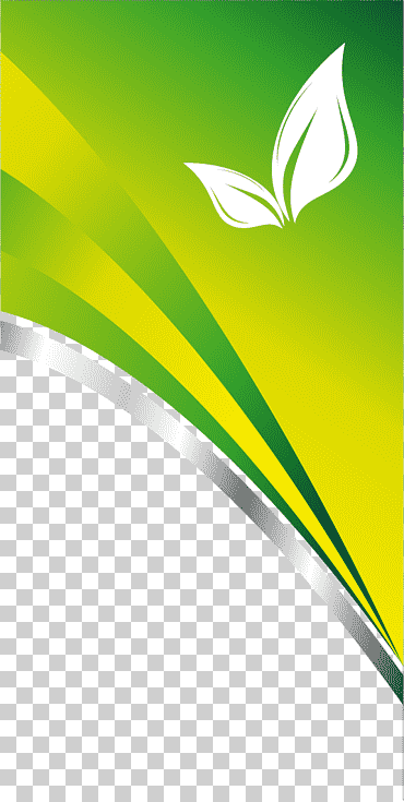 Arte de borde verde y blanco, tarjeta de visita, diseño de tarjeta de moda., ángulo, otro, mujer de negocios png