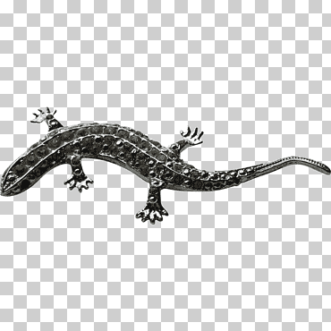 Salamandra gila monstruo o lagarto: ¿cómo lo sabes? mariposa koi, salamandra, anillo, animales, pulsera png