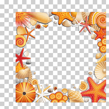 Ilustración de conchas marinas, balneario de conchas marinas, frontera de conchas, cuadro, playa, animales png