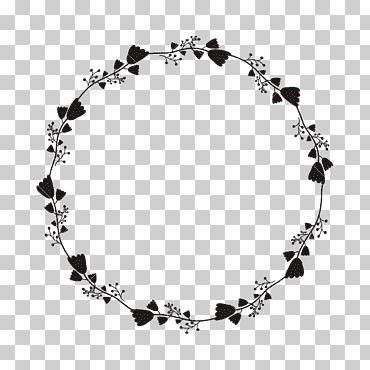 flor de fotografia, borde circular, pulsera, fotografía, posdata encapsulada png