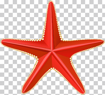 estrella de mar roja, formatos de archivo de compresión sin pérdida, estrella de mar roja, playa, ángulo, verano png