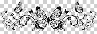Ilustración de mariposas, mariposa en blanco y negro, línea decorativa., ángulo, texto, monocromo png