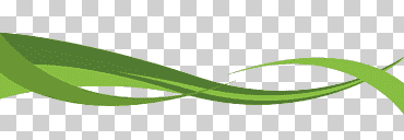 logotipo de la marca fuente verde, curva verde, ángulo, hoja, texto png