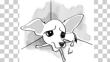 Crueldad canina a los animales Derechos de los animales Derecho penal, Perro., caballo, ángulo, blanco png