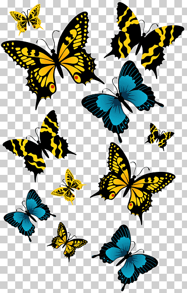 Mariposa, mariposas, ilustración de mariposas de golondrina de varios colores, mariposa patas de pincel, simetría, flor png