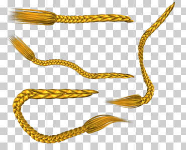 trenza cepillo para el cabello, gente, cepillo, pelo png