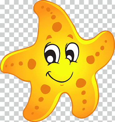 Ilustración de una estrella naranja, un caballito de mar estrella de mar, estrella de mar gratis, naranja, Reino libre, invertebrados marinos png
