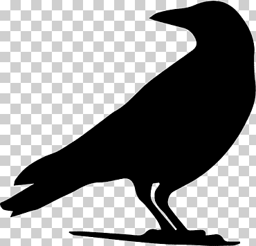 dibujo cuervo silueta, cuervo, animales, monocromo, fauna png