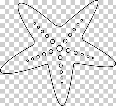 estrella de mar, estrella de mar blanco y negro, estrella de mar, ángulo, blanco, animales png