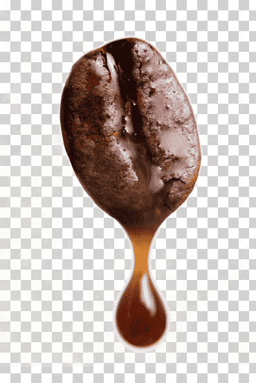 grano de café, café en grano café arábica café preparado fotografía, granos de café, fotografía, cafetería, café png