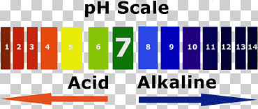 pH alcalino ácido-reacción de base, ángulo, texto, logo png