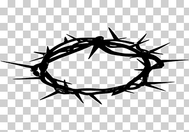 corona de espinas cristianismo espinas, espinas y espinas, diverso, ángulo, hoja png